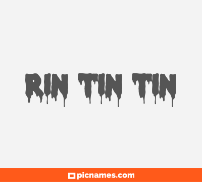 Rin tin tin